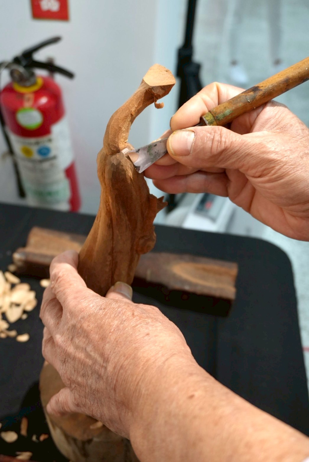 黃媽慶木雕六十 - 生物造型創作+乙巳年生活影像紀錄