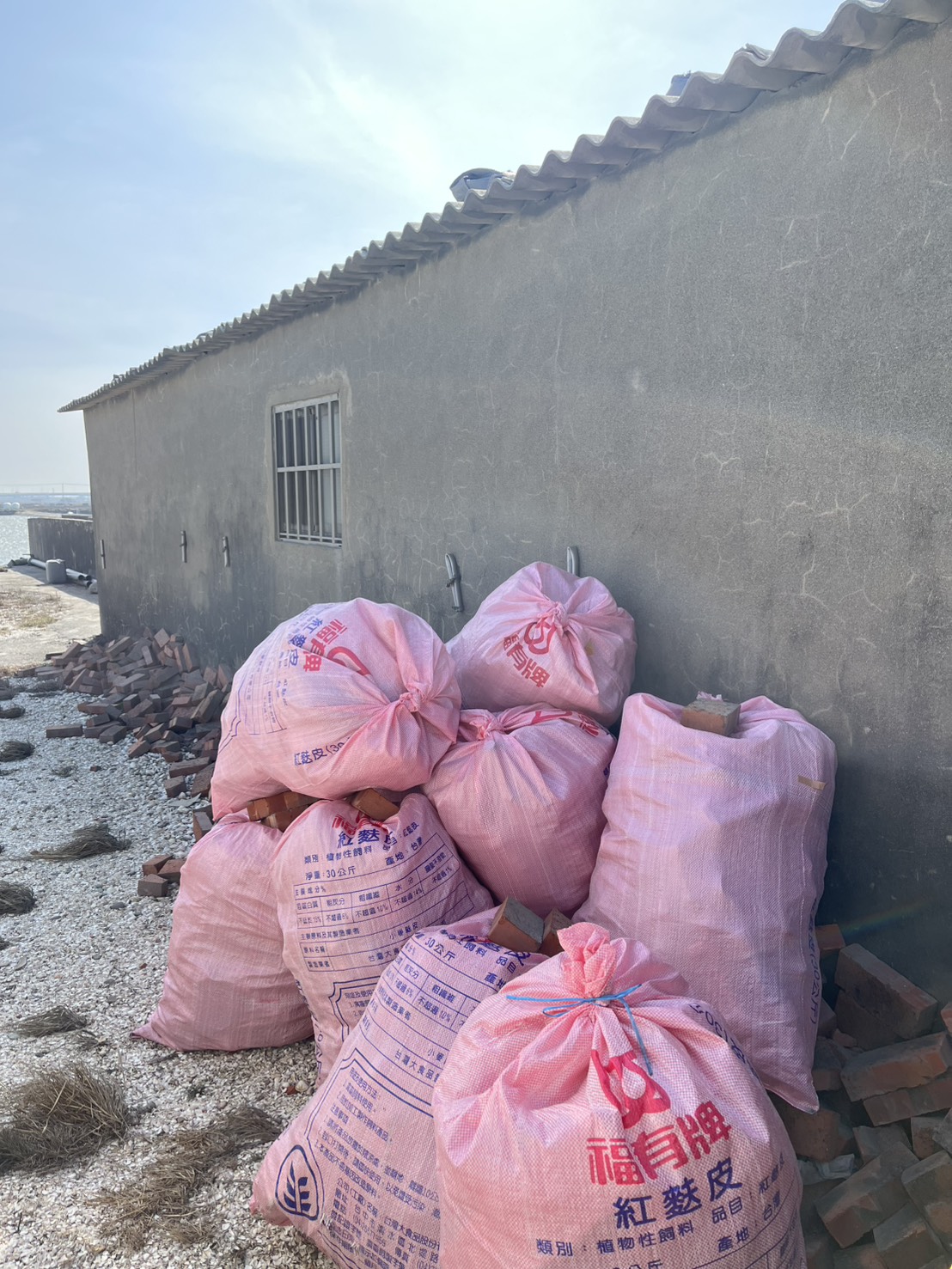 114年度國聲愛地球淨灘活動