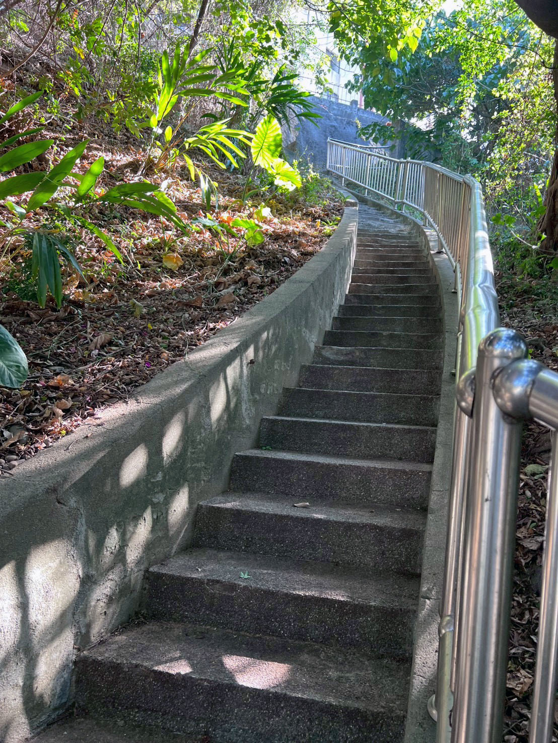 聽見自然的呼喚—2026國聲廣播愛家園淨山日