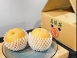 季節性商品~賢溫果園玉觀音高接豐水梨
